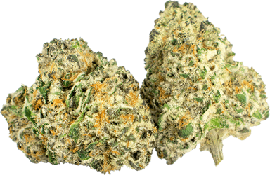 Grape Bubblegum